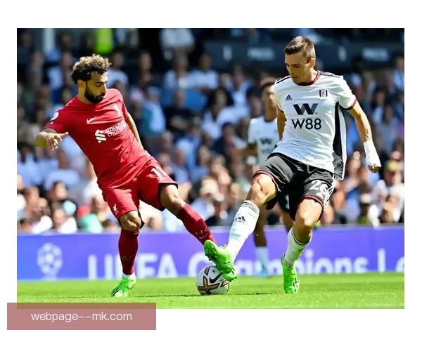 拜仁慕尼黑花费5000万欧元签下若昂帕利尼亚弥补转会遗憾